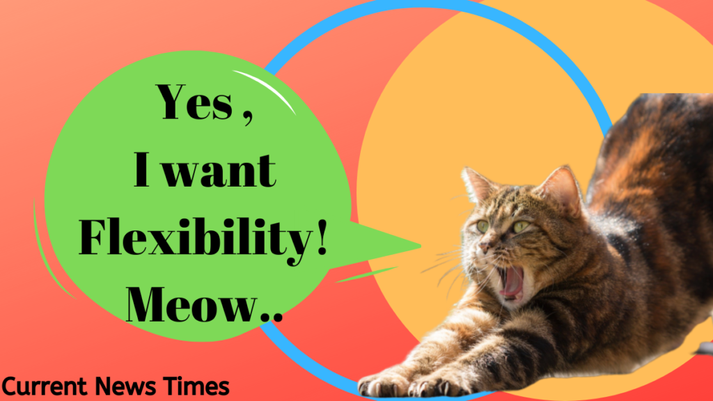 yoga-visuals-cat-saying-I-want-flexibility